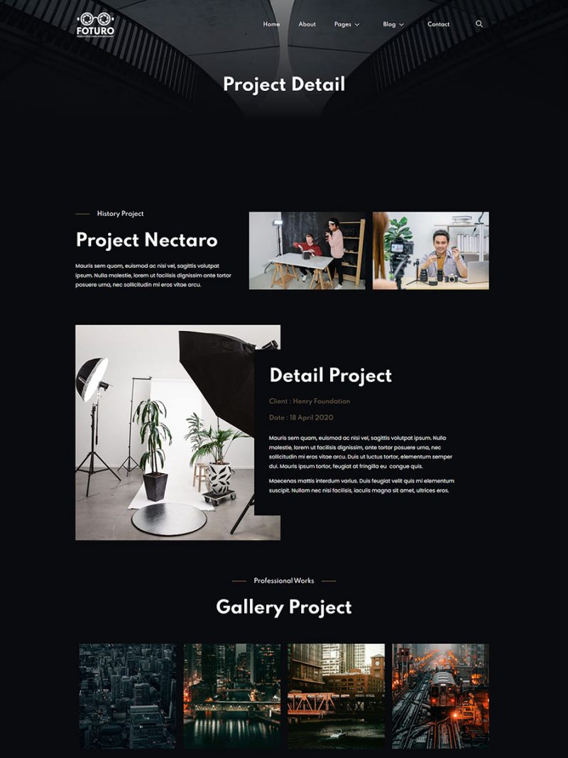 Single portfolio template preview